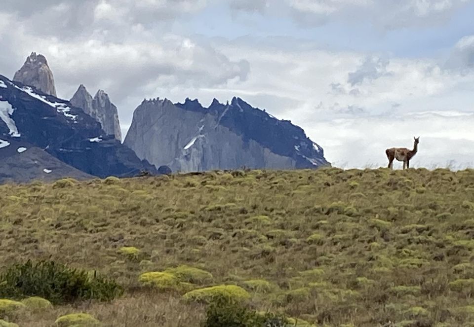 Chile & Antarctica - L. McVey