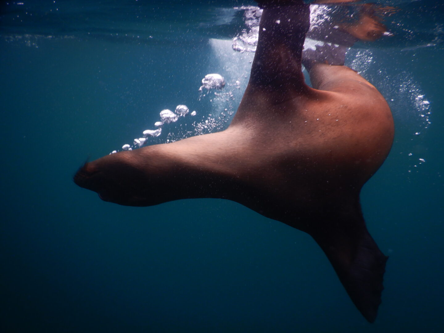 Galapagos Islands Ecuador - J. Fildes