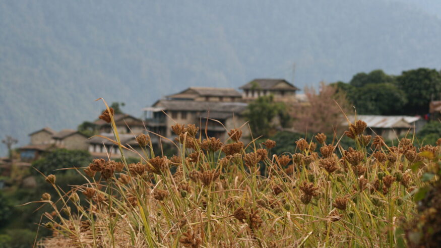 Annapurna Region, Nepal 2