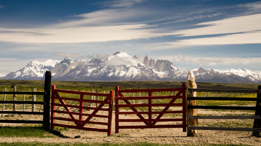 Road between Punta Arenas and Puerto Natales