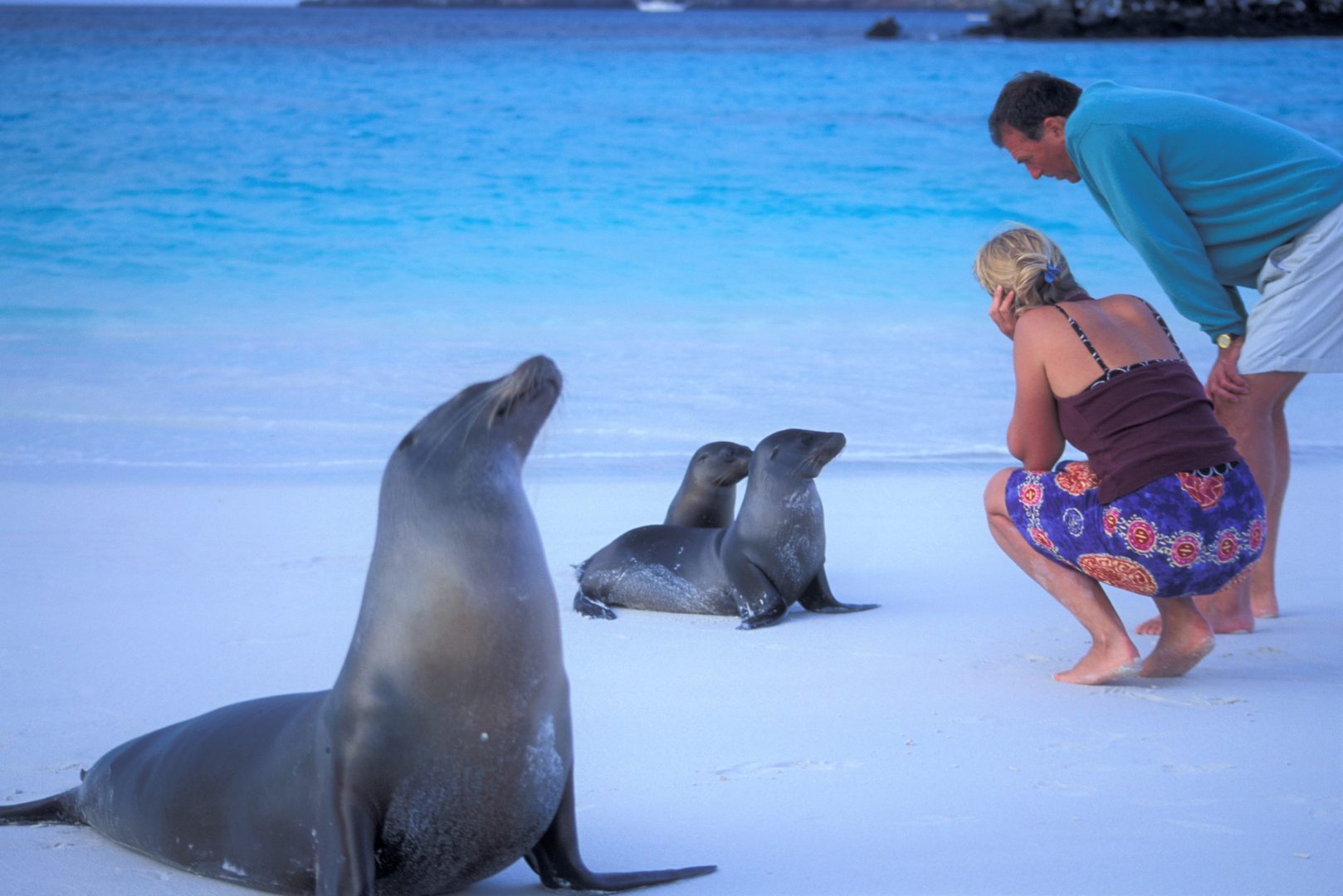 Galapagos Western Islands