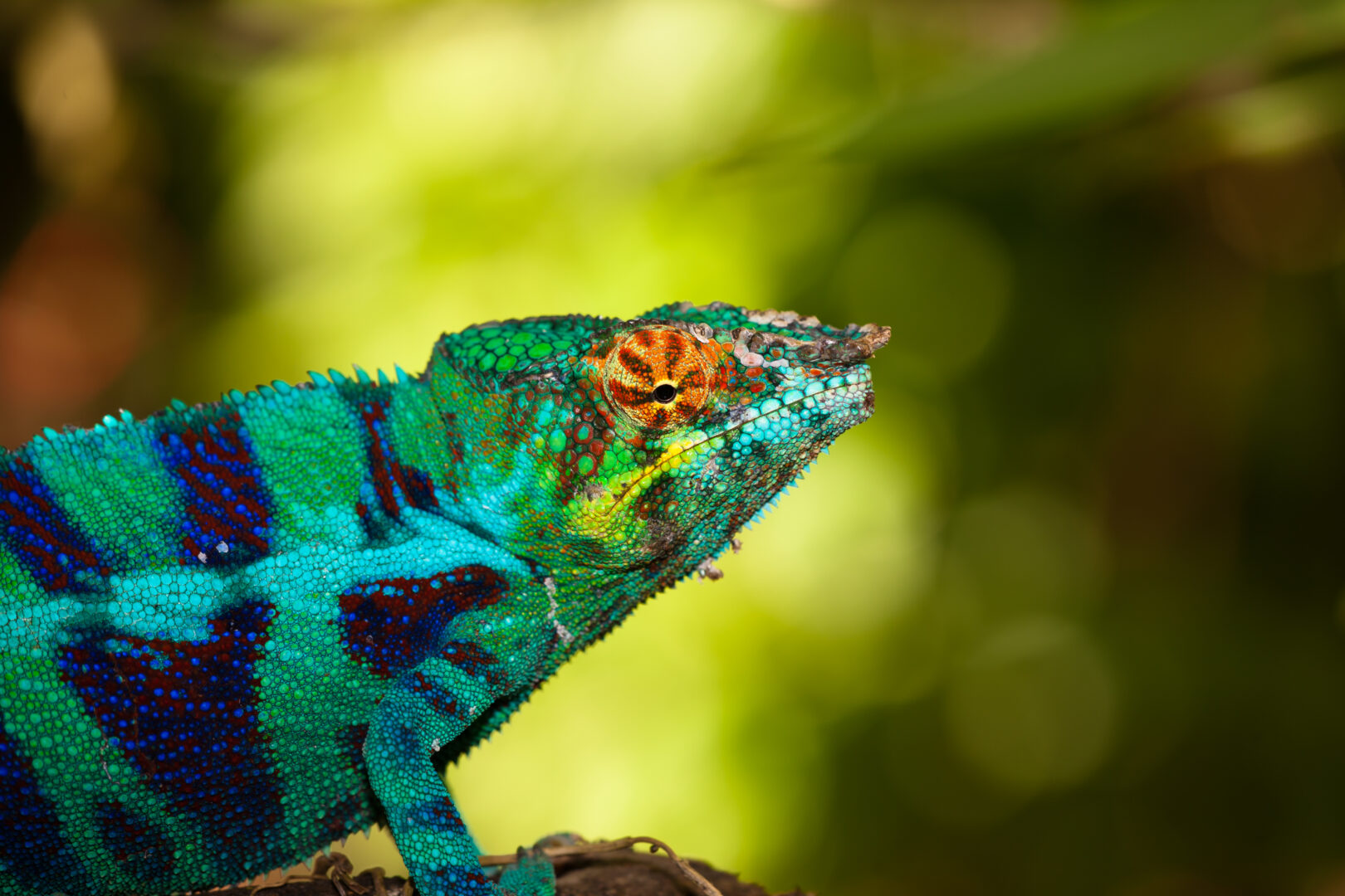 Madagascar: The Untouched North