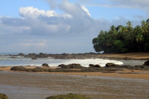Osa Peninsula Beach
