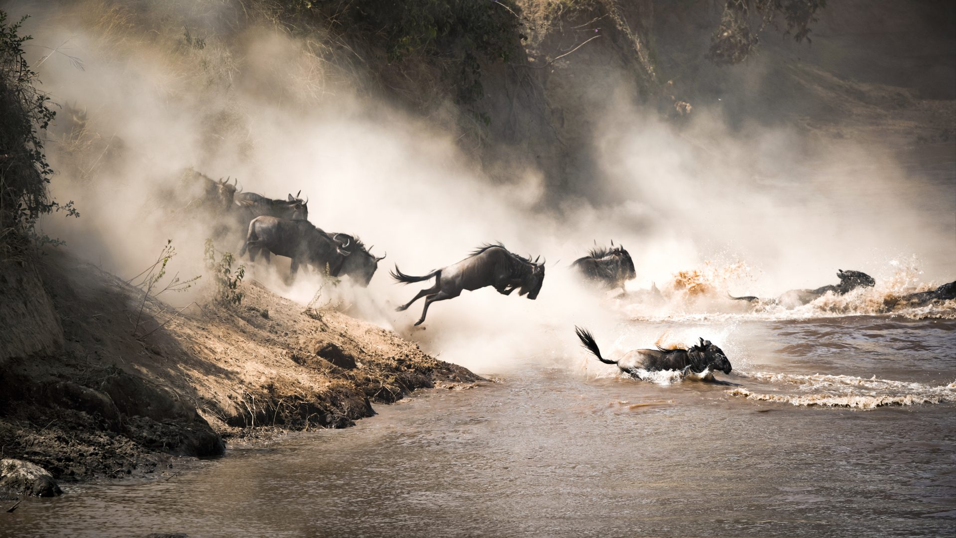 The Great Migration: Best of Kenya and Tanzania in Style