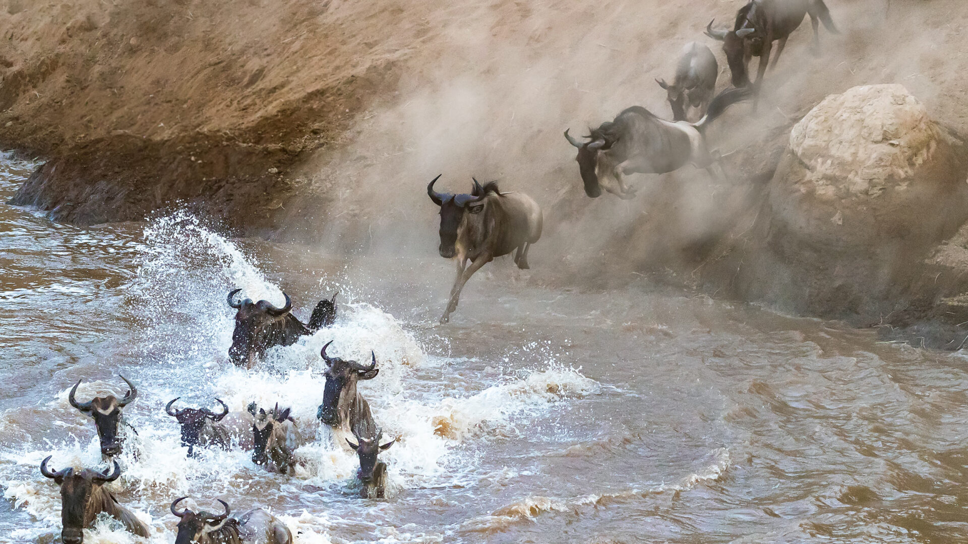 tailor made luxury african safaris