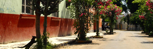 barranco-lima-peru-tours-travel-vaya-adventures