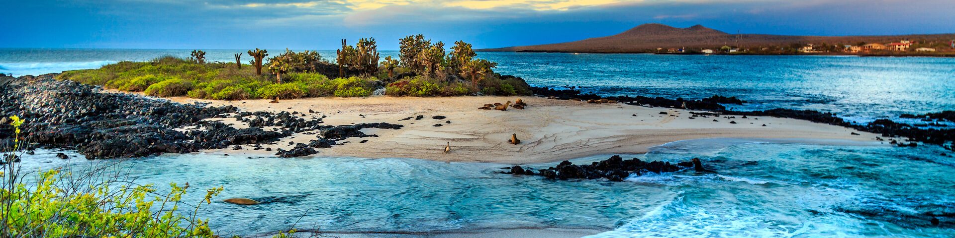 The spectacular landscape of Galapagos