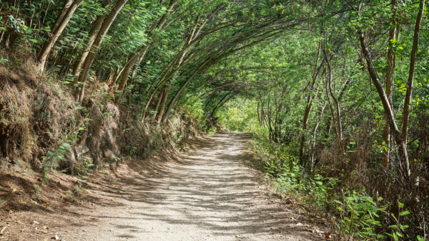 Pilgrim trail between Caldas de Reis and Padron on the Camino de Santiago trail, Galicia, Spain